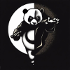 Kung Fu Ying Yang Panda