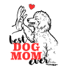 Best Poodle Mama Poodle Dog