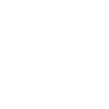 Vector