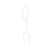 Seilschaft
