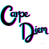 Carpe Diem - Saisissez l'Instant avec Style