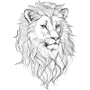 Lion's head
