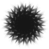 Black Circle