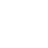 Fahrlehrer