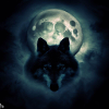 Wolf Moon