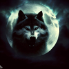 Wolf Moon 3