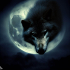 Wolf Moon Mystic 4