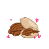 Cadeau de noix de pécan