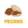Pecan Nuts Gift