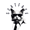 Scatface Mafia Cat