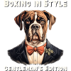 Boxing In Style