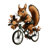 Squirrel Riding A Bicycle