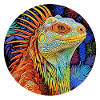 Iguana - Chromatic Serenade