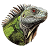 Iguana - Lush Mirage