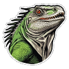 Iguana - Enchanted Wilderness