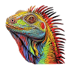 Iguana - Enchantment Unleashed