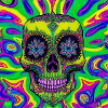 Rainbow Skull