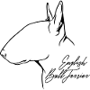 English Bull Terrier Profile Dogs Dog Wilsigns