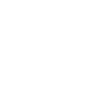 English Bull Terrier Profile Dogs Dog Wilsigns