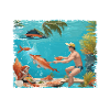 Natation et cuisine