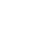 Sheltie « Édition Noire »