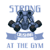 Elephant Bodybuilding Powerlifting Weightlifting