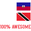 Trinidad and Tobago flag