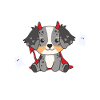 Berger australien Diable d’Halloween heureux
