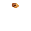 Pecan Nuts Gift