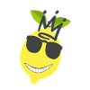 Roi Citron