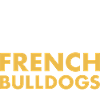 Café et bouledogue français