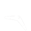 Boomerang