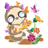 Tropical Animal Gift Butterfly Sloth