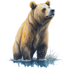 Grizzly