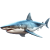 Sharks are always considered man-eaters