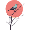 Bird Silhouette Sunset Art