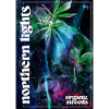 Northern Lights