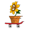 Sunflower balades en skateboard