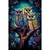 Fantasy Owls