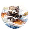 Canoë Loutre