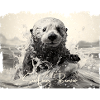 Surfing Sea Otter