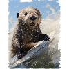 Surfing Sea Otter