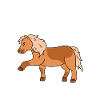 Ponies Better Than Therapy