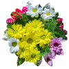 Flowers over flowers