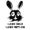Je sais que je ne sais rien - Wise Rabbit