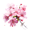 Fleur