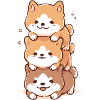 Shiba Inu gang