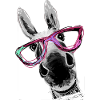 Âne, Peinture, Brun, Lunettes
