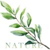 Branch of nature