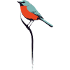 Bird on elegant branch
